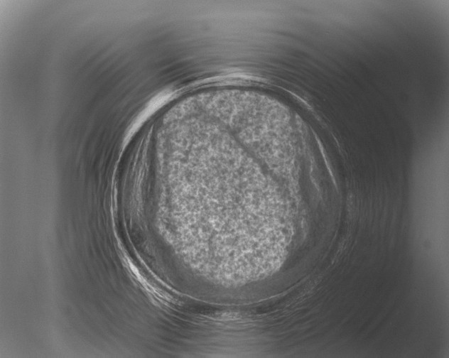 X0000085011418200704021348