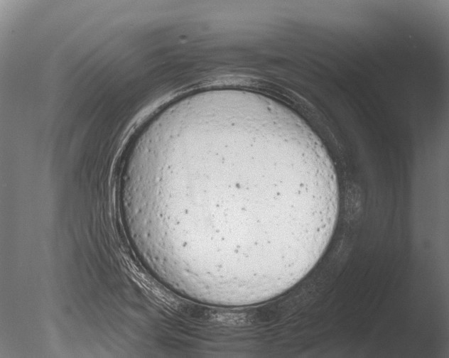 X0000085011419200704021348