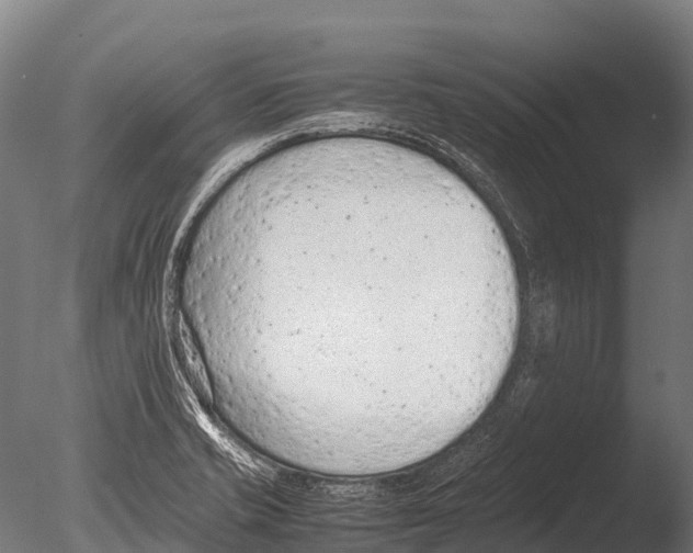 X0000085011421200704021348