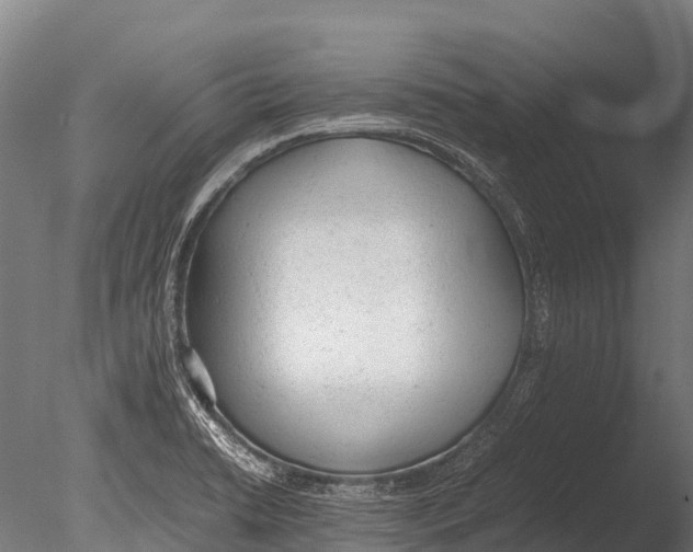 X0000085011422200704021348