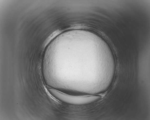 X0000085011425200704021348