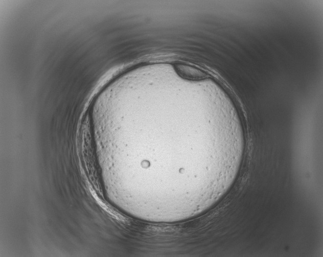 X0000085011429200704021348