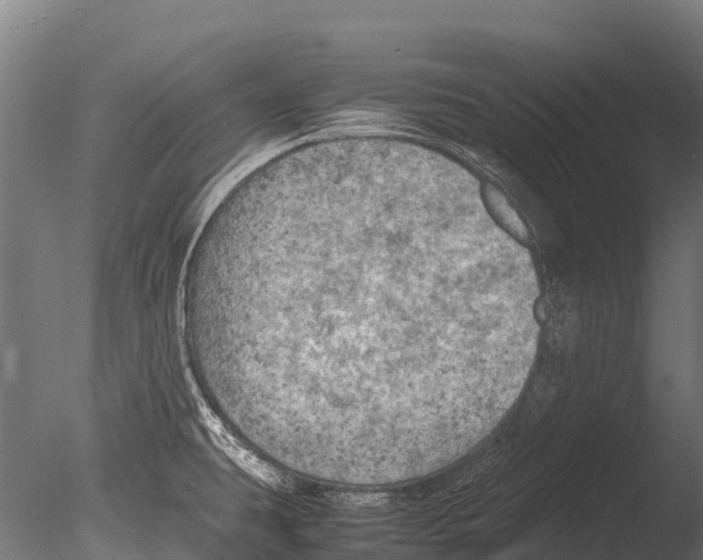 X0000085011431200704021348