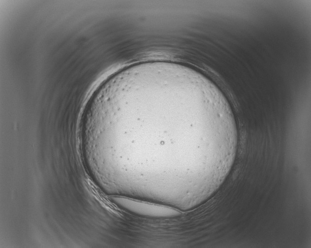 X0000085011435200704021348