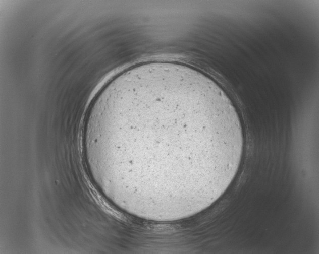 X0000085011436200704021348