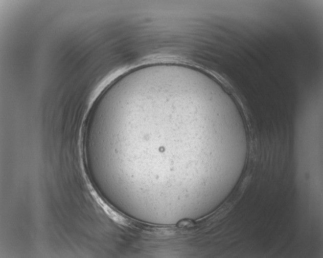 X0000085011438200704021348