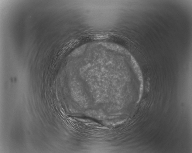 X0000085011441200704021348