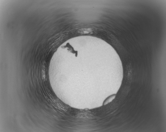 X0000085011442200704021348