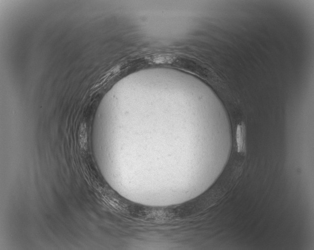 X0000085011443200704021348