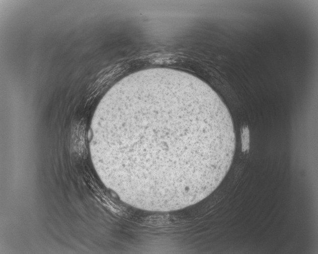 X0000085011444200704021348