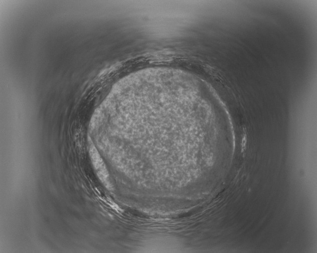 X0000085011445200704021348