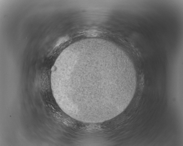 X0000085011446200704021348