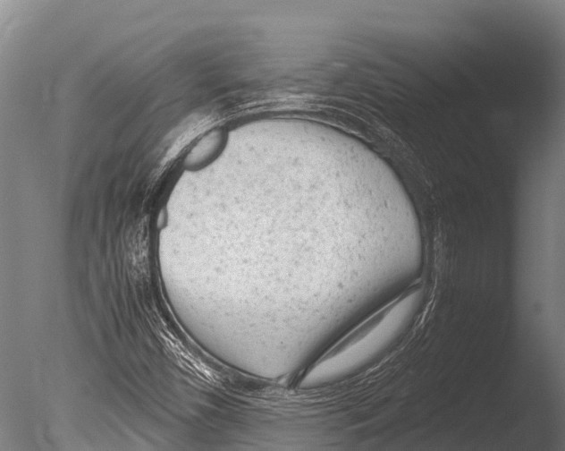 X0000085011450200704021347