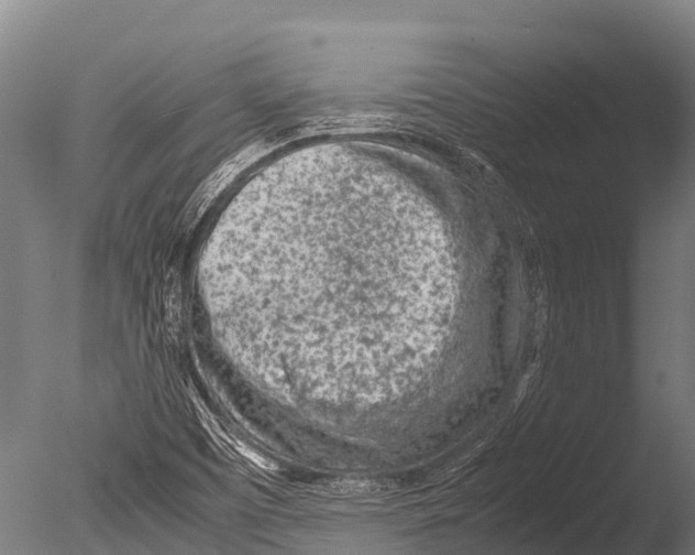 X0000085011457200704021347