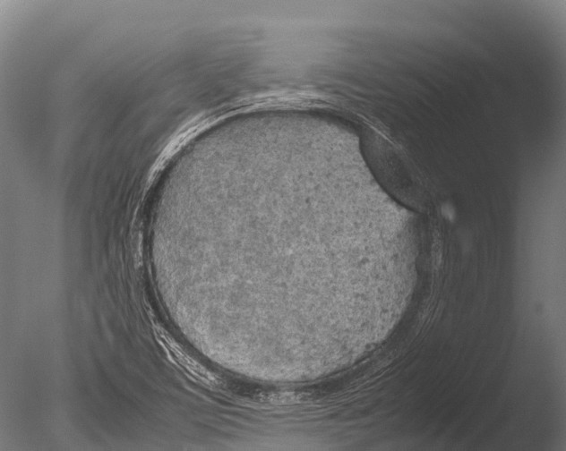 X0000085011459200704021347