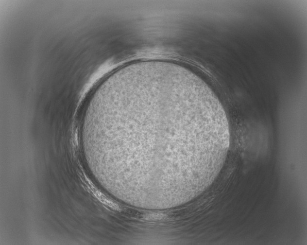 X0000085011462200704021347