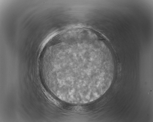 X0000085011463200704021347