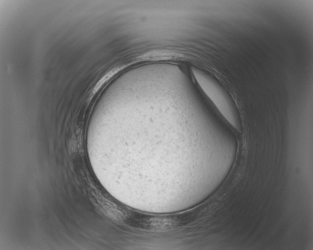 X0000085011465200704021347