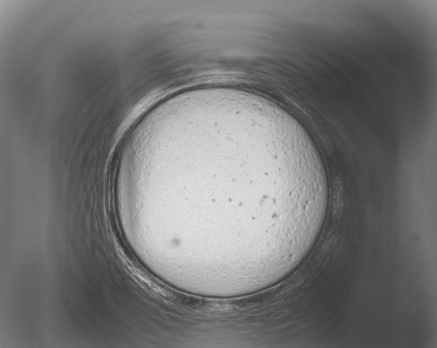 X0000085011467200704021347