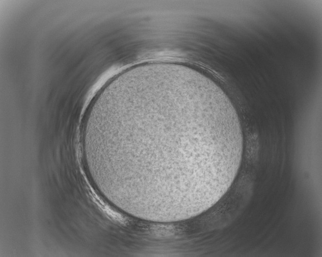 X0000085011470200704021347