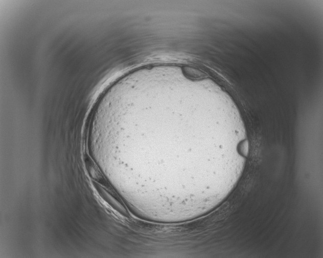 X0000085011471200704021347