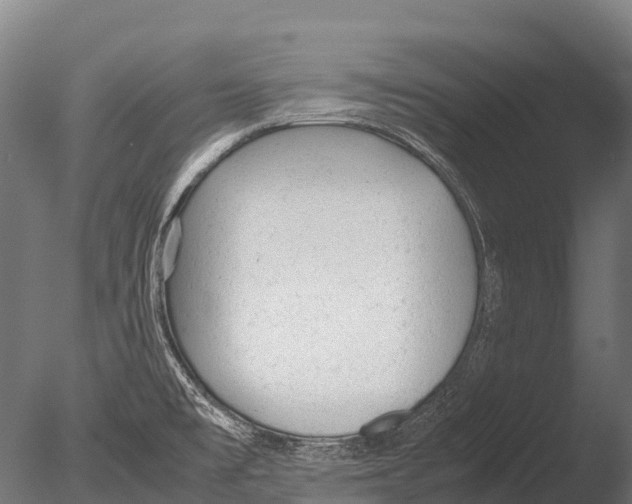 X0000085011477200704021347