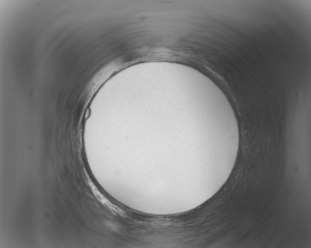 X0000085011479200704021347