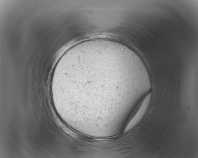 X0000085011483200704021347