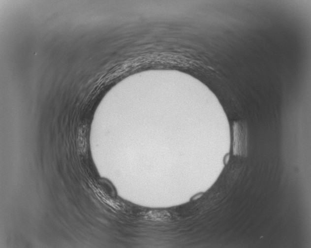 X0000085011491200704021346