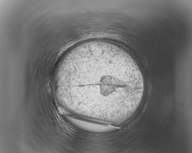 X0000085011497200704021346