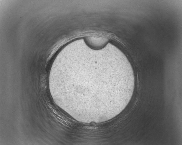 X0000085011501200704021346