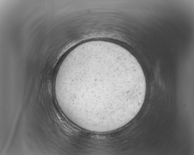 X0000085011505200704021346