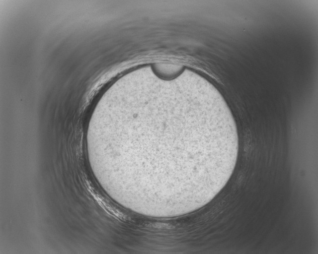 X0000085011507200704021346