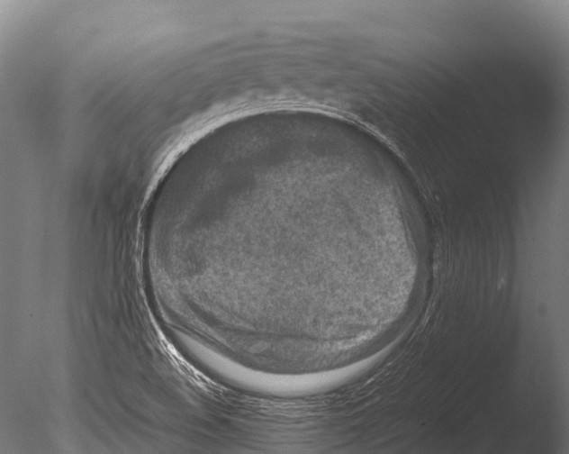 X0000085011508200704021346