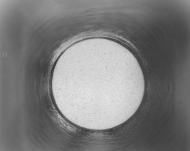 X0000085011512200704021346