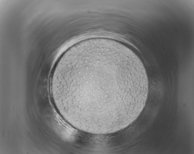 X0000085011514200704021346