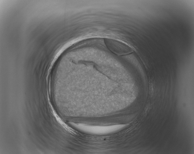 X0000085011515200704021346