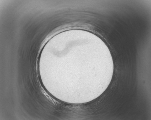 X0000085011516200704021346