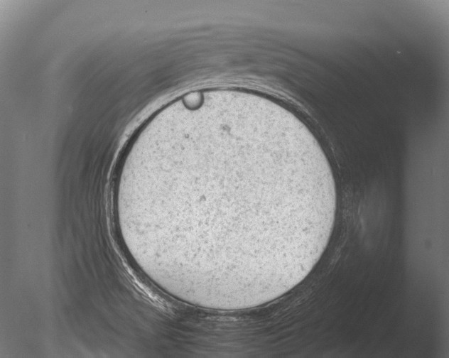 X0000085011517200704021346