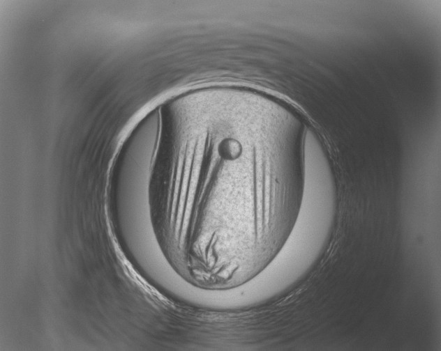 X0000085011518200704021346