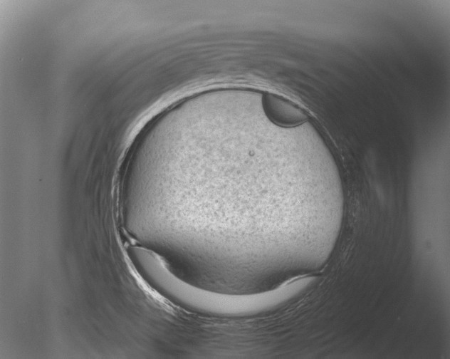 X0000085011519200704021346