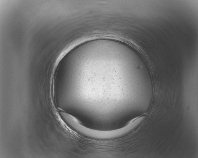 X0000085011520200704021346