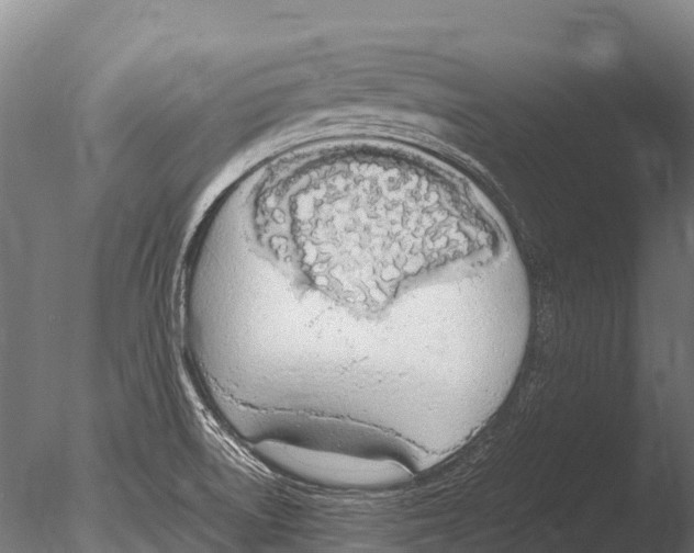 X0000085011522200704021347