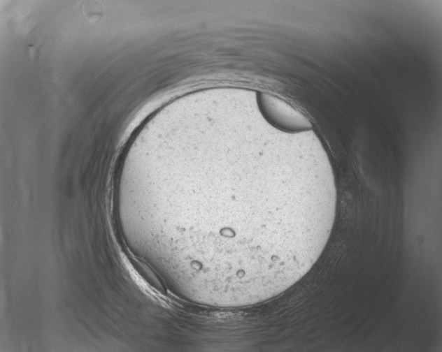 X0000085011523200704021347