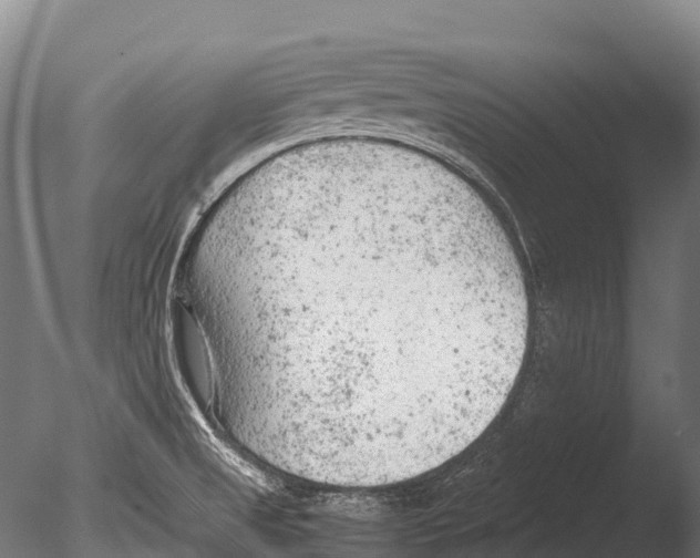 X0000085011525200704021347