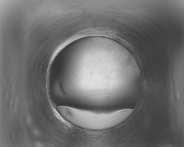 X0000085011528200704021347