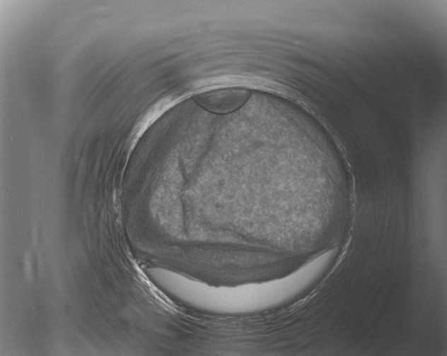 X0000085011529200704021347