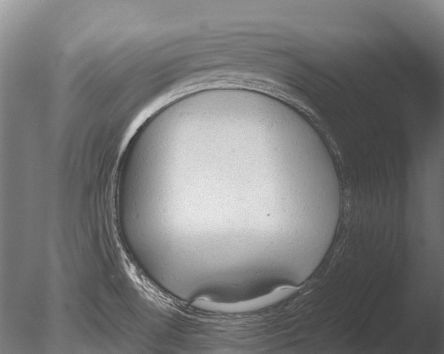 X0000085011530200704021347