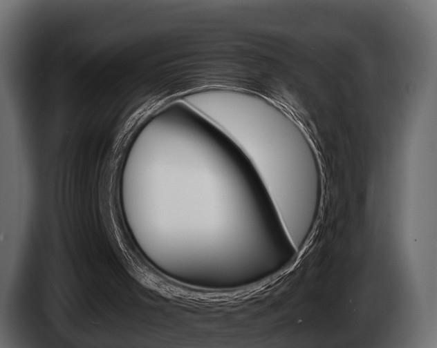 X0000085020001200703050948