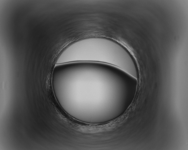 X0000085020009200703050948